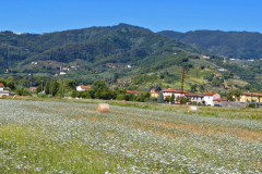 4 TC-11 GF-09-Ciclabile_verso_Lucca