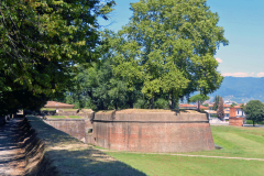 4 TC-11 GF-17-Lucca