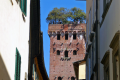 4 TC-11 GF-21-Lucca